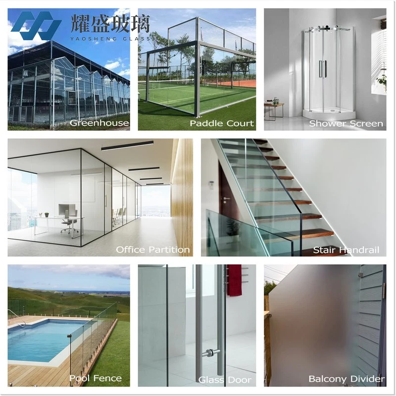 Frameless Clear Flat Curved Toughened Tempered Safety Glass for Shower Enclosure Door Swimming Pool Fence Paddle Court Partition Furniture Balustrade Greenhouse